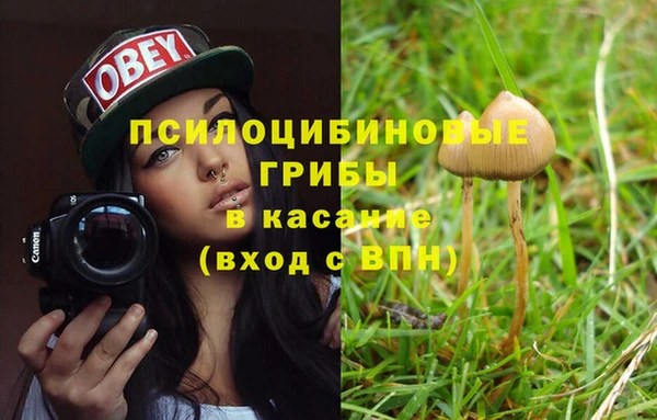 ECSTASY Алексин