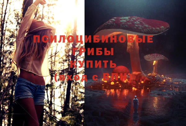 ECSTASY Алексин